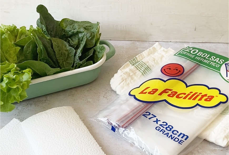 alutip-lechuga