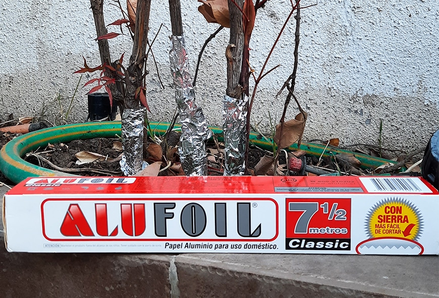 alutip-plantas-con-alufoil